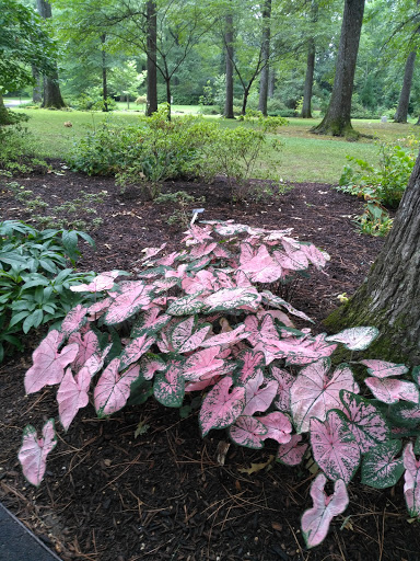 Public Golf Course «Audubon Park Golf Course», reviews and photos, 4160 Park Ave, Memphis, TN 38117, USA