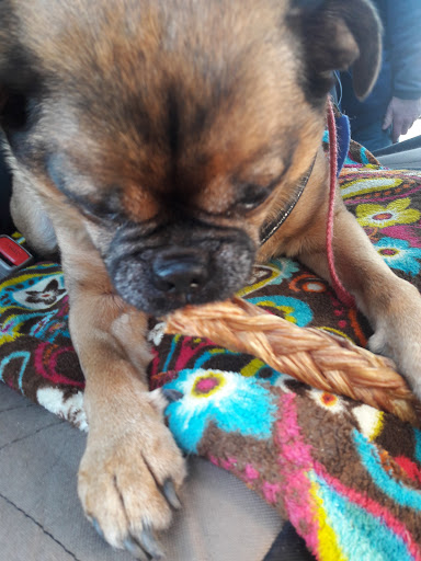 Pet Supply Store «Petco Animal Supplies», reviews and photos, 2365 NW Kings Blvd, Corvallis, OR 97330, USA