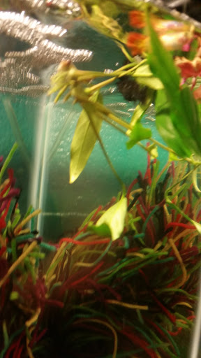 Pet Supply Store «Pet Supplies Plus», reviews and photos, 34370 Aurora Rd, Solon, OH 44136, USA