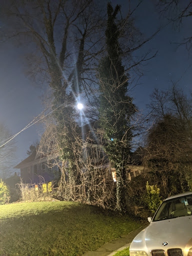 Supermarket «The Harrison Market», reviews and photos, 355 Halstead Ave, Harrison, NY 10528, USA