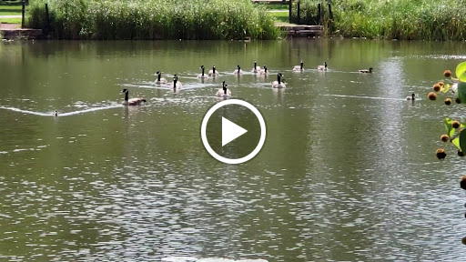 Park «Independence Park», reviews and photos, 3945 N Springfield Ave, Chicago, IL 60618, USA