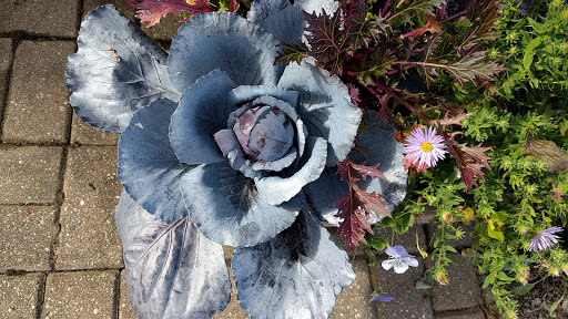 Botanical Garden «Olbrich Botanical Gardens», reviews and photos, 3330 Atwood Ave, Madison, WI 53704, USA