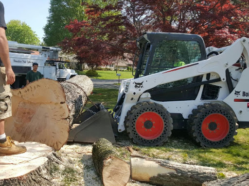 Alexandria Tree Services Unlimited