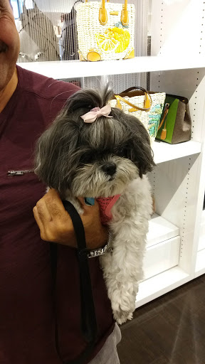 Fashion Accessories Store «Michael Kors», reviews and photos, 1800 Sawgrass Mills Cir #2630, Sunrise, FL 33323, USA