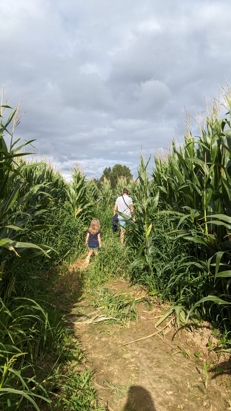 Photo n° 2 de l'avis de Grégory.o fait le 25/08/2023 à 19:49