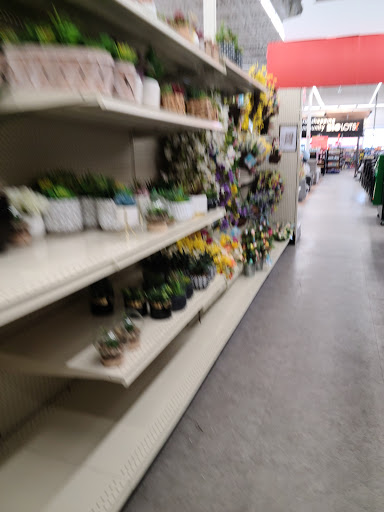 Discount Store «Big Lots», reviews and photos, 550 Mt Pleasant Ave, Dover, NJ 07801, USA