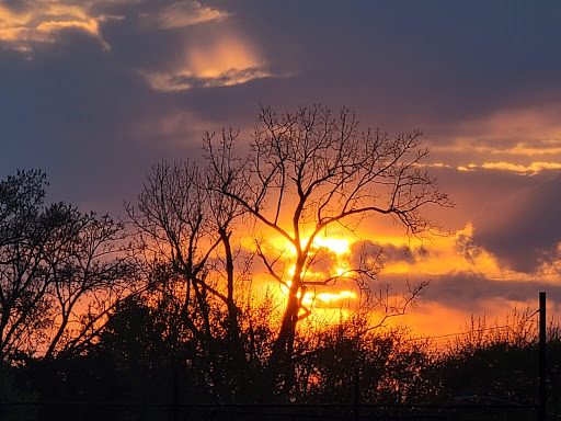 Park «Hinkley Park», reviews and photos, 25 Busse Hwy, Park Ridge, IL 60068, USA