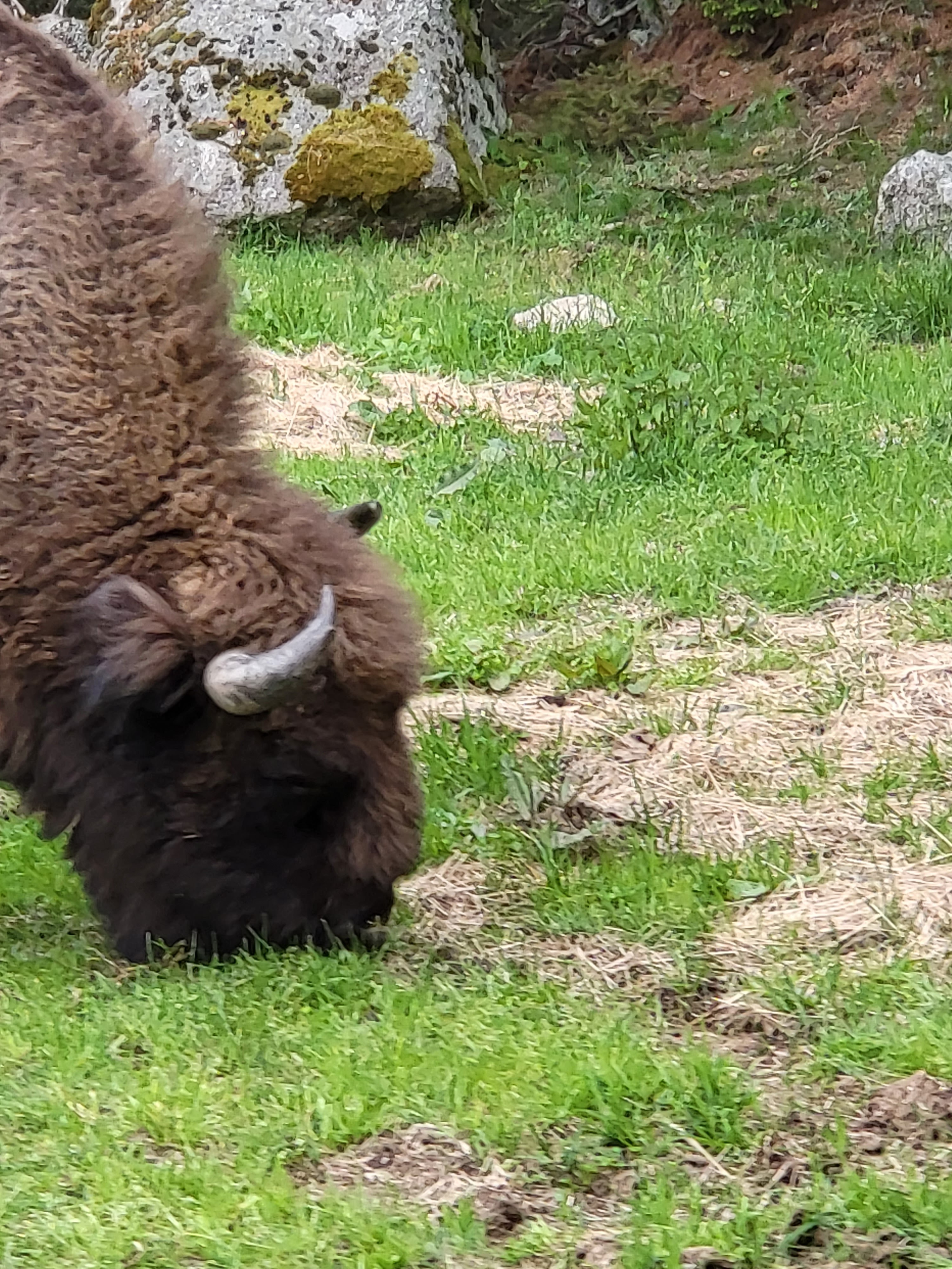 Photo n° 10 de l'avis de Joseph.e fait le 07/06/2023 à 21:11