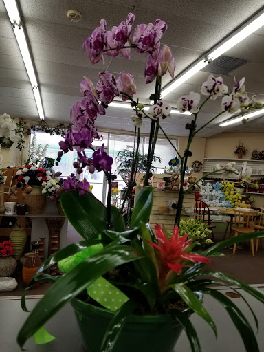 Florist «Niles Flowers & Gift», reviews and photos, 7667 N Milwaukee Ave, Niles, IL 60714, USA