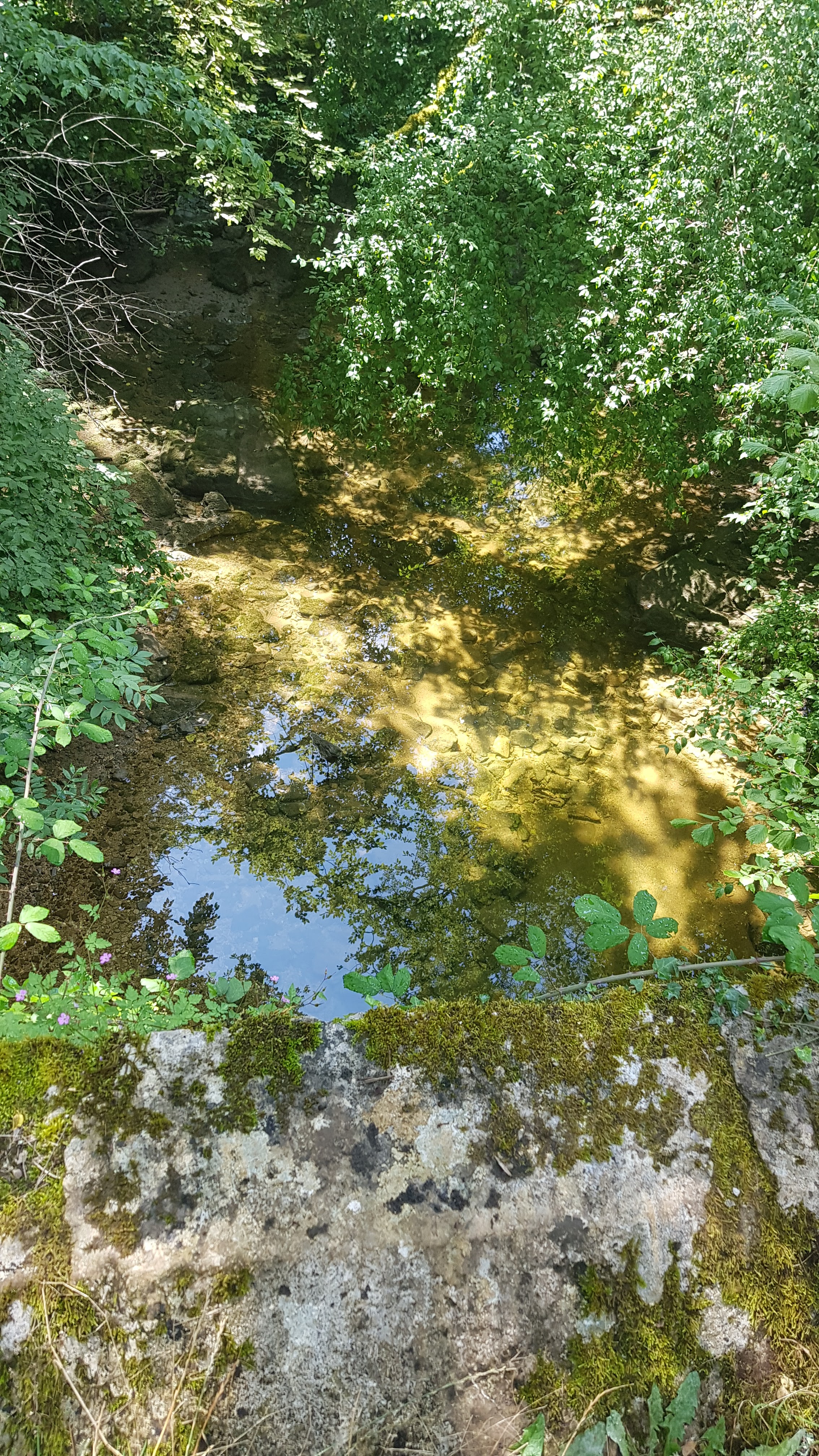 Photo n° 9 de l'avis de Aur.o fait le 05/08/2021 à 14:31