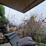 Photo n°2 de l'avis de Matilde.a fait le 06/11/2022 à 10:52 sur le  TreeLodgy à Riva del Garda