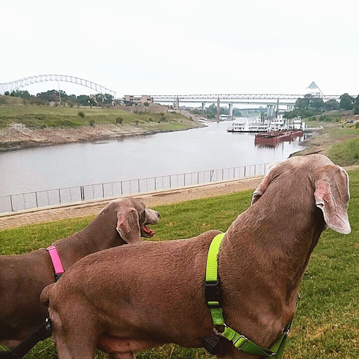 Tourist Attraction «Beale Street Landing», reviews and photos, 251 Riverside Dr, Memphis, TN 38103, USA