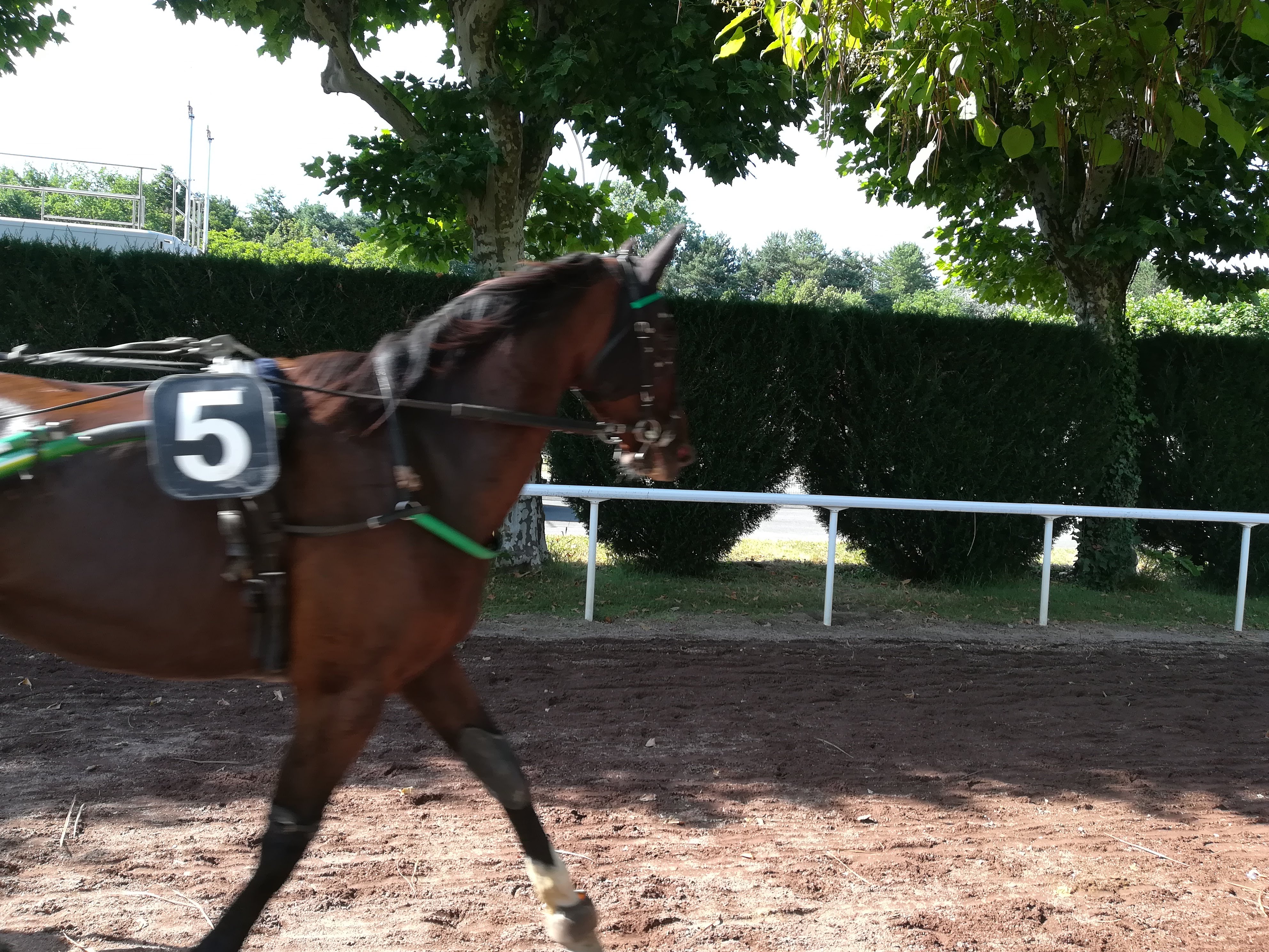 Photo n° 46 de l'avis de Salomon.a fait le 05/09/2018 à 18:40