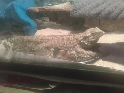 Pet Supply Store «Petco Animal Supplies», reviews and photos, 3444 S Mooney Blvd, Visalia, CA 93277, USA