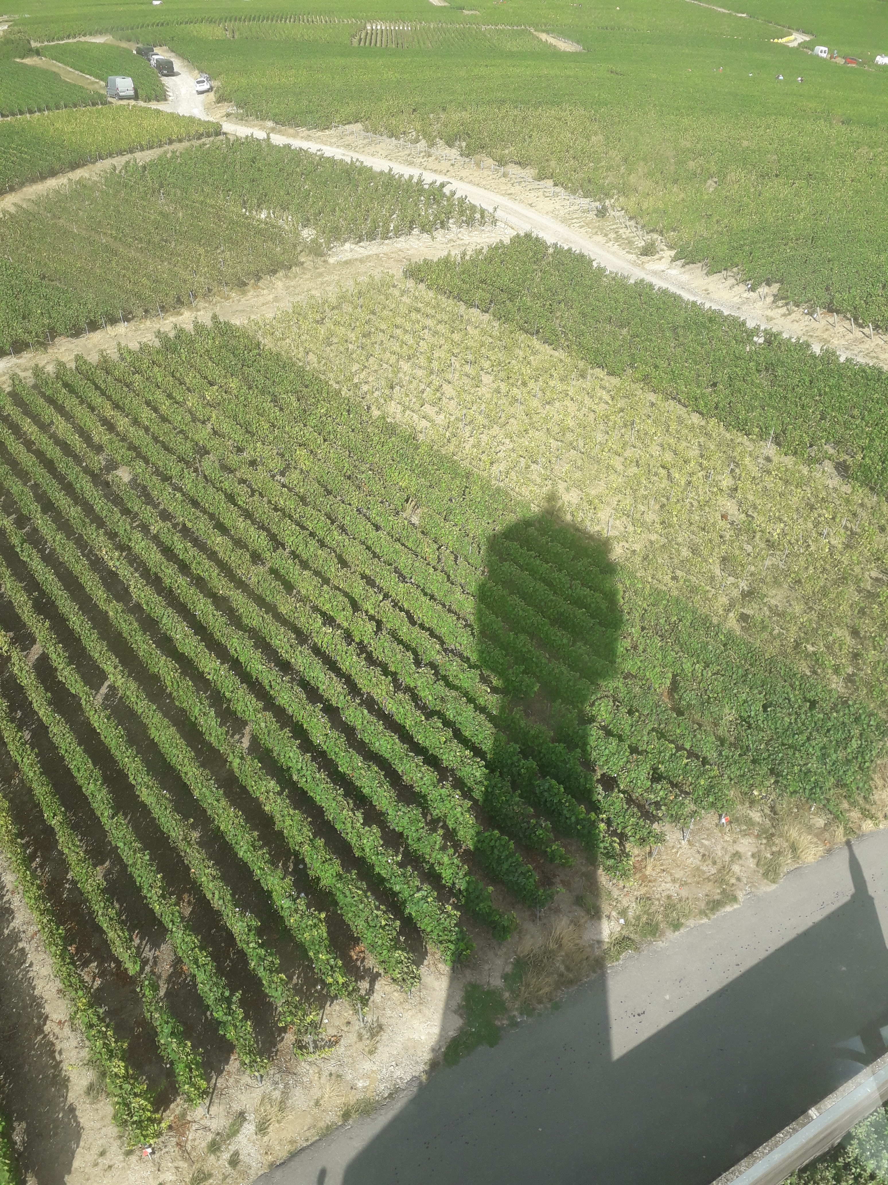 Photo n° 1 de l'avis de Cathy.r fait le 29/08/2018 à 13:25