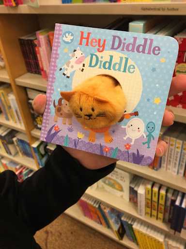 Book Store «Barnes & Noble», reviews and photos, 70 Worcester-Providence Turnpike, Millbury, MA 01527, USA