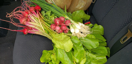 Grocery Store «Community Farmers Market», reviews and photos, 2319 Nashville Rd, Bowling Green, KY 42101, USA