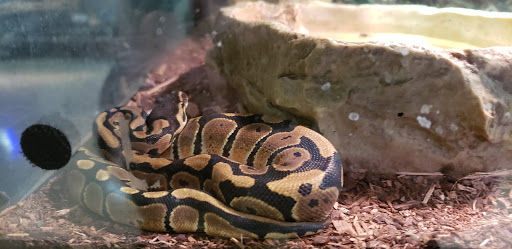 Pet Store «Pet Land», reviews and photos, 1450 Fort Campbell Blvd, Clarksville, TN 37042, USA