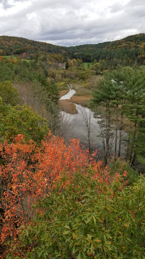Environmental Organization «VINS Nature Center», reviews and photos, 6565 Woodstock Rd, Quechee, VT 05059, USA