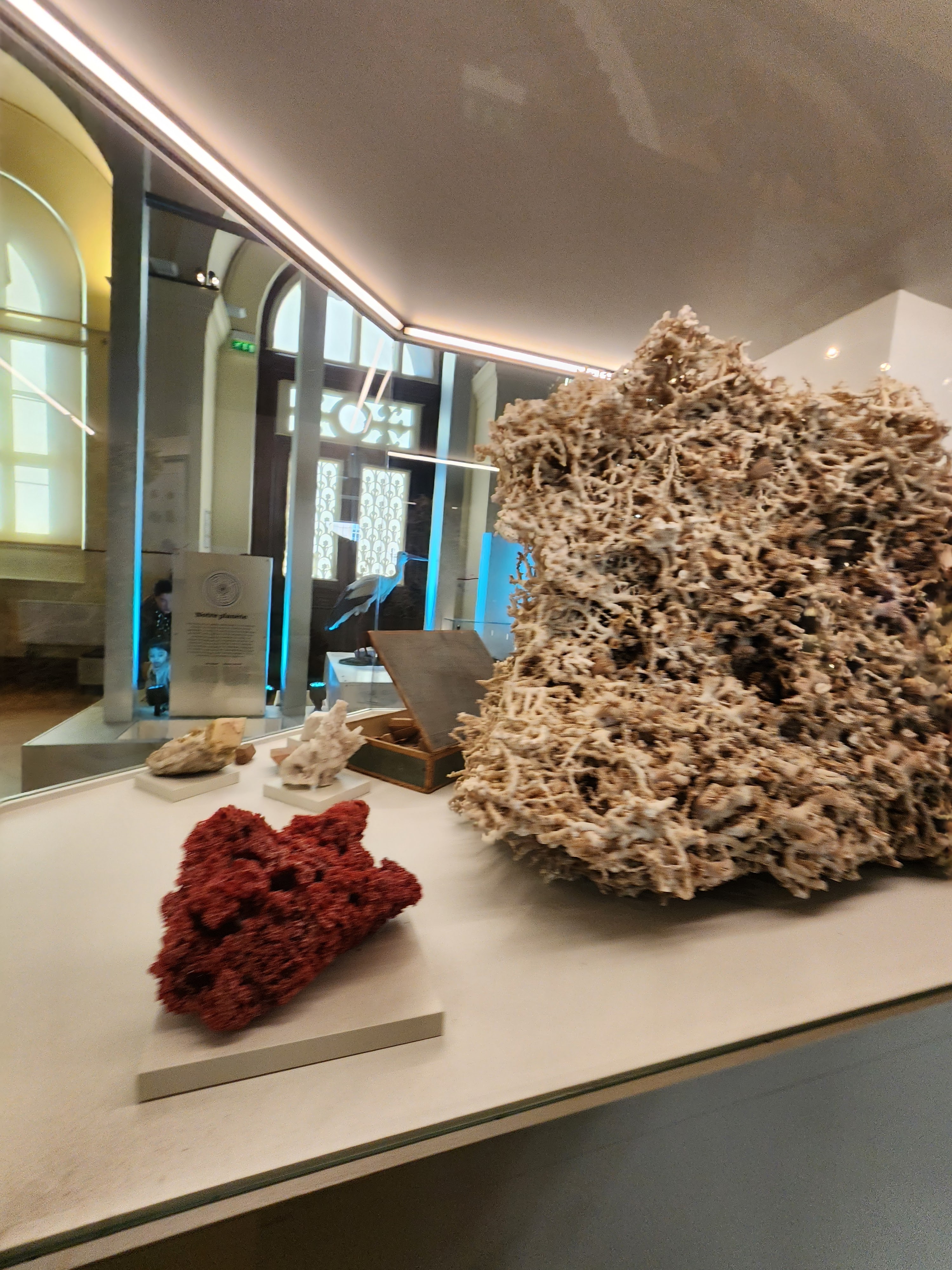 Photo n° 12 de l'avis de Anaïs.T fait le 07/02/2024 à 17:36