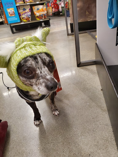 Pet Supply Store «Petco Animal Supplies», reviews and photos, 38069 Town Center Dr #222, Millville, DE 19967, USA