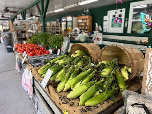 Market «Green Top Farm Market», reviews and photos, 1811 NJ-70, Southampton Township, NJ 08088, USA