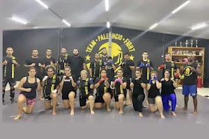 Academia de luta Team Palencio image