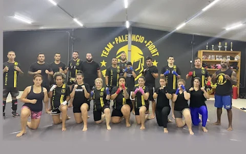 Academia de luta Team Palencio image