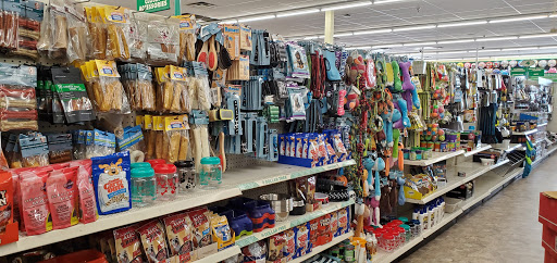 Dollar Store «Dollar Tree», reviews and photos, 455 Colemans Crossing Blvd, Marysville, OH 43040, USA