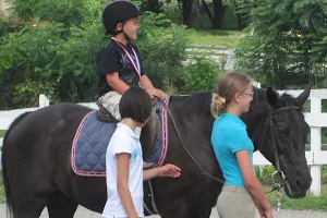Morning Star Farm Riding Academy & Therapeutic Riding Center image