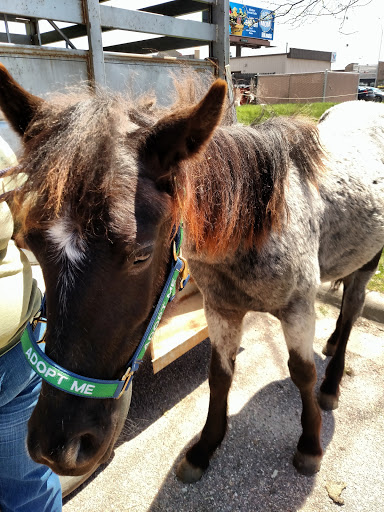 Pet Supply Store «Petco Animal Supplies», reviews and photos, 3110 S Louise Ave, Sioux Falls, SD 57106, USA