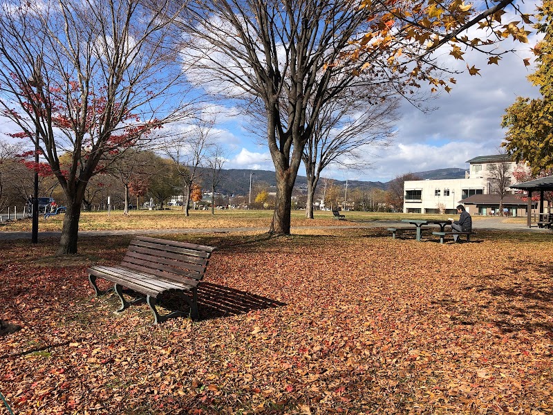 岡谷湖畔公園 ウェルネス・コア ゾーン