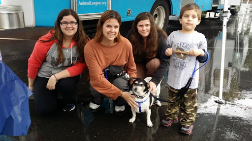 Pet Supply Store «Cheshire Cat & Dog Too», reviews and photos, 1320 Waterbury Rd, Cheshire, CT 06410, USA