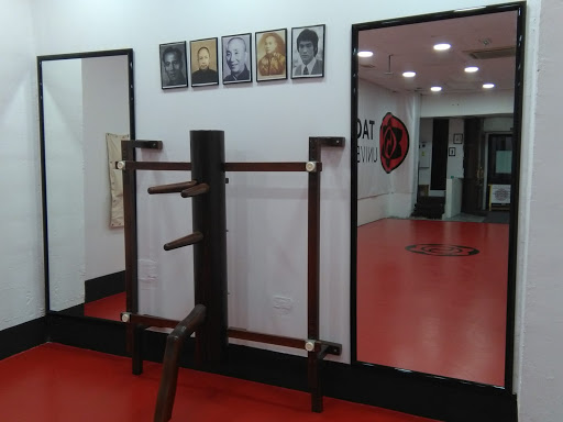 TAOWS Academy Granada (Wing Chun, BJJ, MMA)
