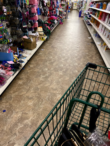 Dollar Store «Dollar Tree», reviews and photos, 2540 Cumberland Blvd SE, Smyrna, GA 30080, USA