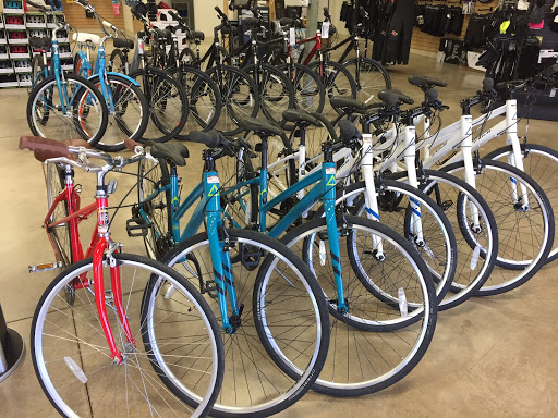 Bicycle Store «Playtri», reviews and photos, 7171 Colleyville Blvd, Colleyville, TX 76034, USA