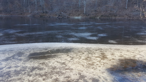 Nature Preserve «Jefferson Memorial Forest», reviews and photos, 11311 Mitchell Hill Rd, Fairdale, KY 40118, USA