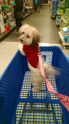 Pet Supply Store «PetSmart», reviews and photos, 2929 James Sanders Blvd f, Paducah, KY 42001, USA