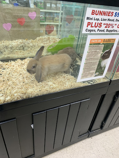 Pet Supply Store «Pet Palace Inc», reviews and photos, 253 Scranton Carbondale Hwy, Scranton, PA 18508, USA