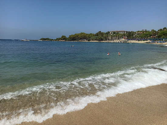Avsallar beach
