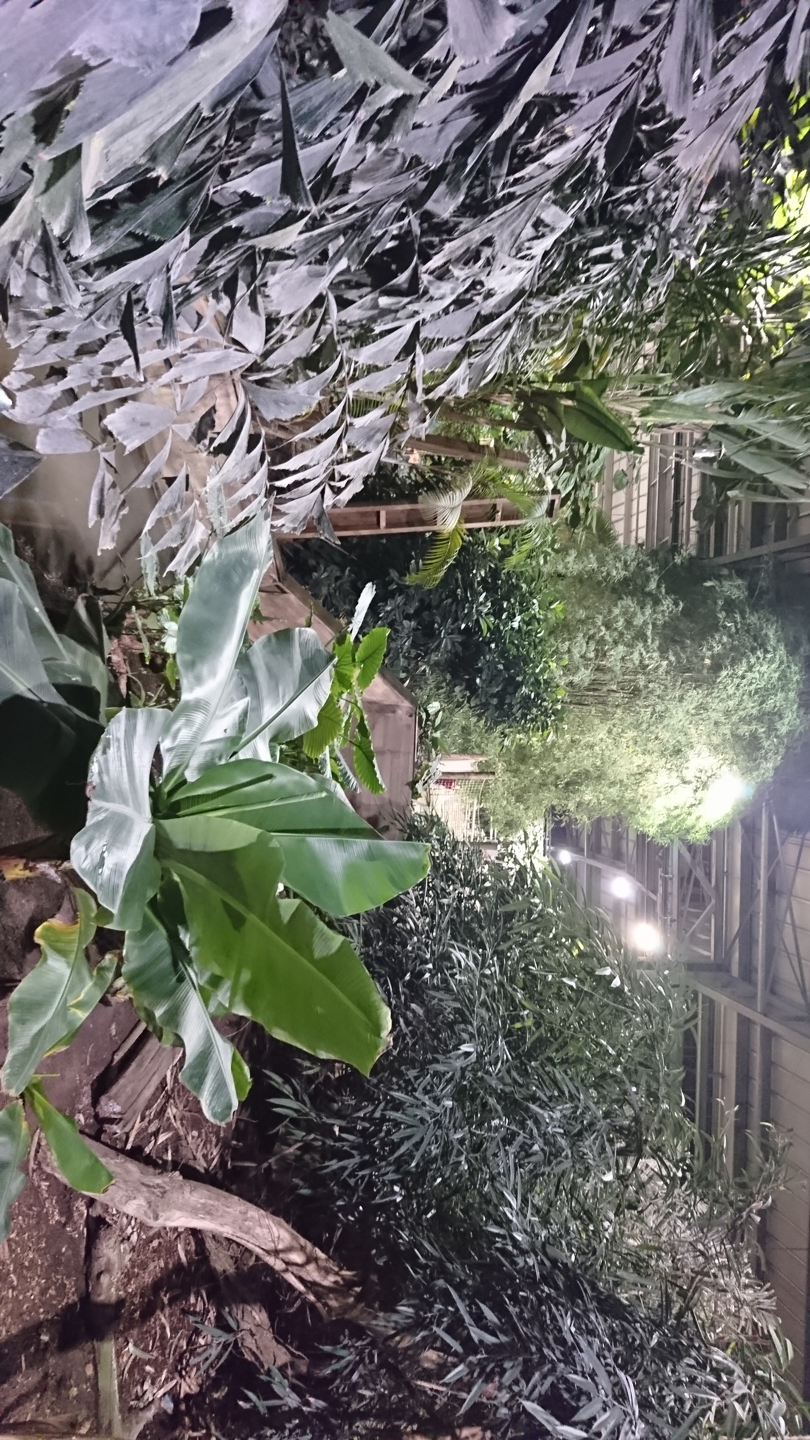 Photo n° 21 de l'avis de Stephane.e fait le 15/12/2018 à 21:01