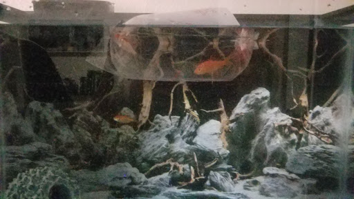 Pet Supply Store «Petco Animal Supplies», reviews and photos, 5047 E Marketplace Dr, Flagstaff, AZ 86004, USA