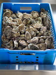 Photo n°41 de Manuia bar à huîtres à La Barre-de-Monts ()