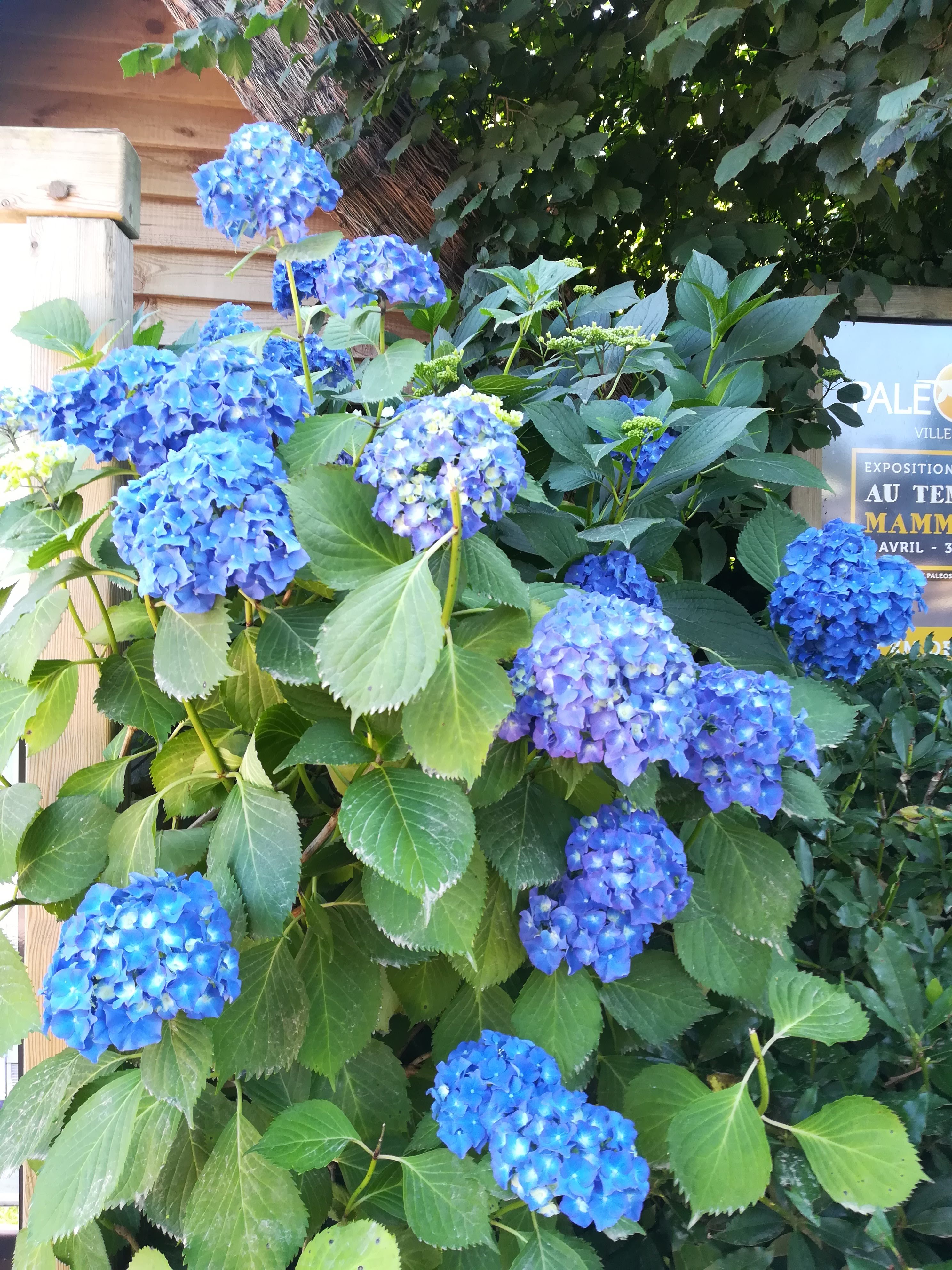 Photo n° 25 de l'avis de missbigsmile. fait le 11/07/2018 à 05:18