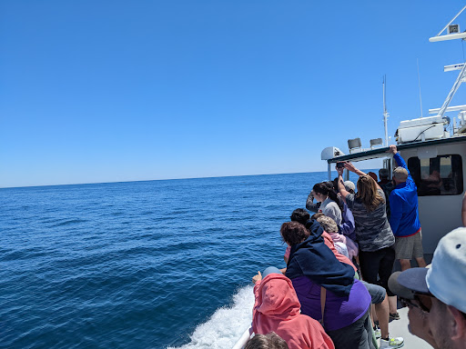 Whale Watching Tour Agency «7 Seas Whale Watch», reviews and photos, 63 Rogers St, Gloucester, MA 01930, USA