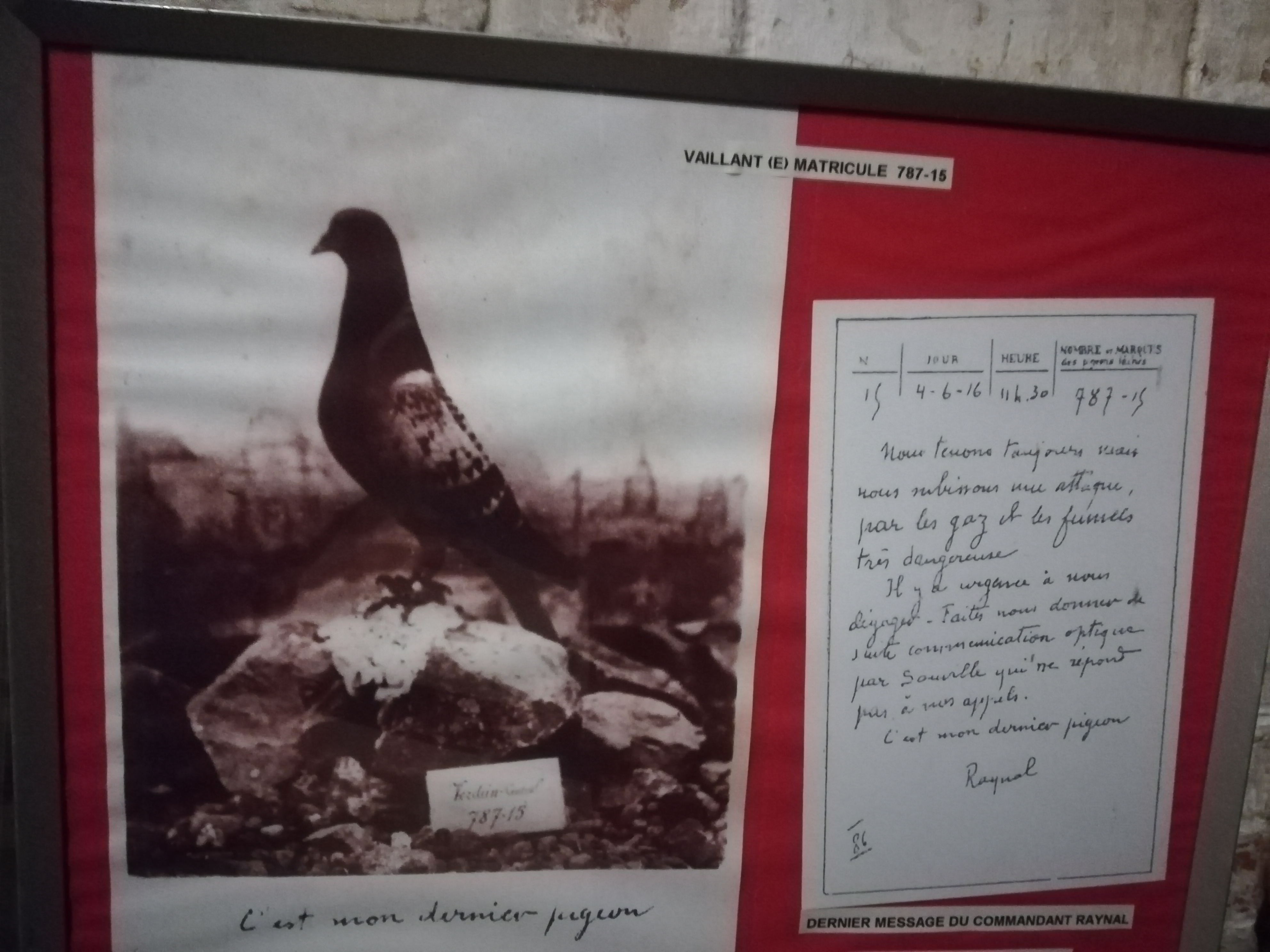 Photo n° 4 de l'avis de Yannick.a fait le 27/10/2018 à 19:25