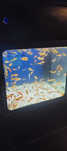 Pet Store «Olathe Pet Shop», reviews and photos, 16651 151st St, Olathe, KS 66062, USA