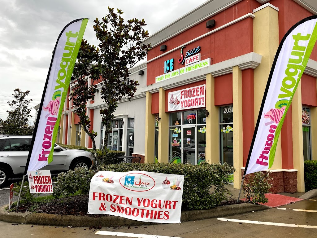 Ice Spice Indian Street Food Café 33647