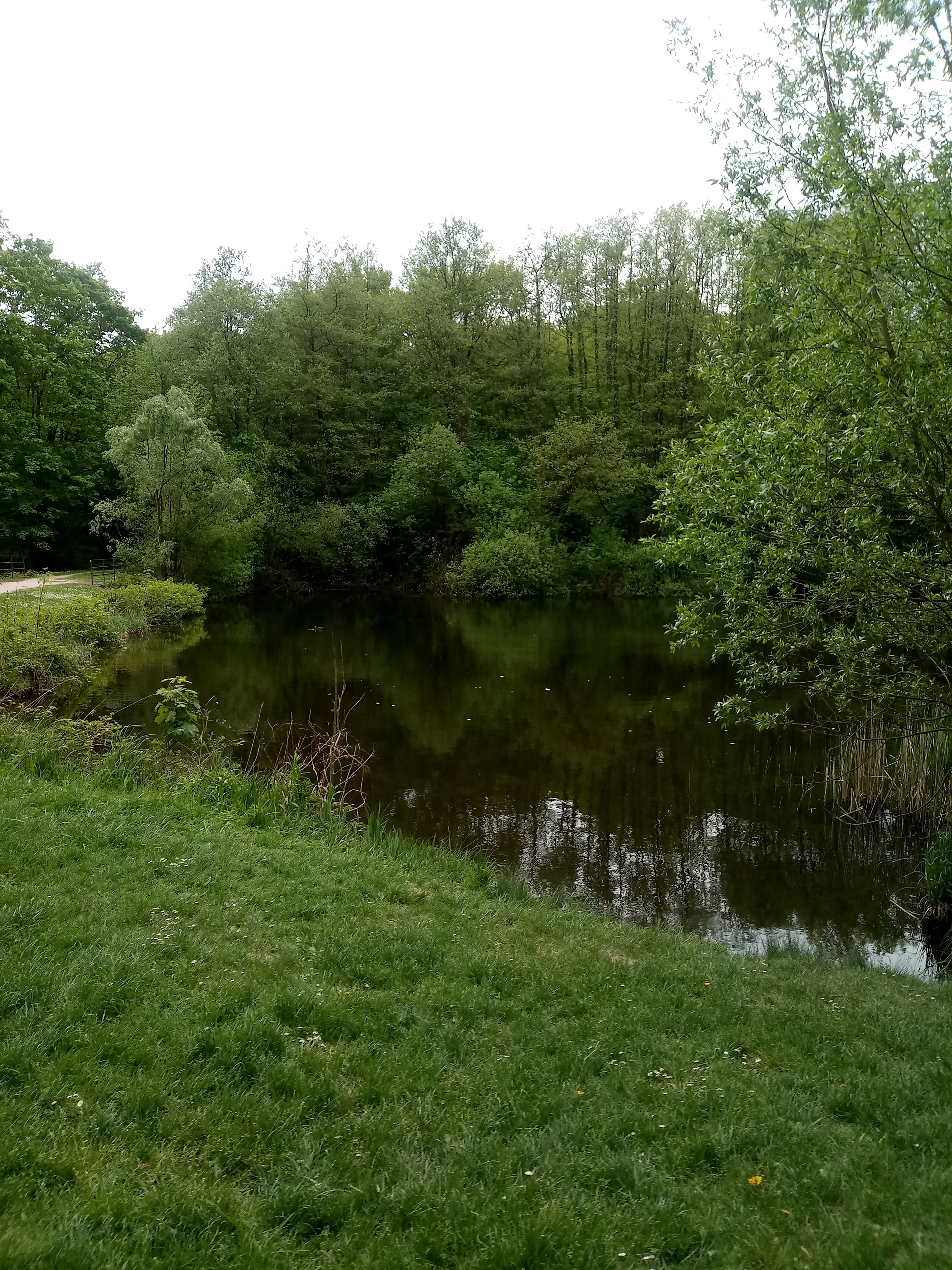 Photo n° 2 de l'avis de koceila.a fait le 25/05/2018 à 18:49