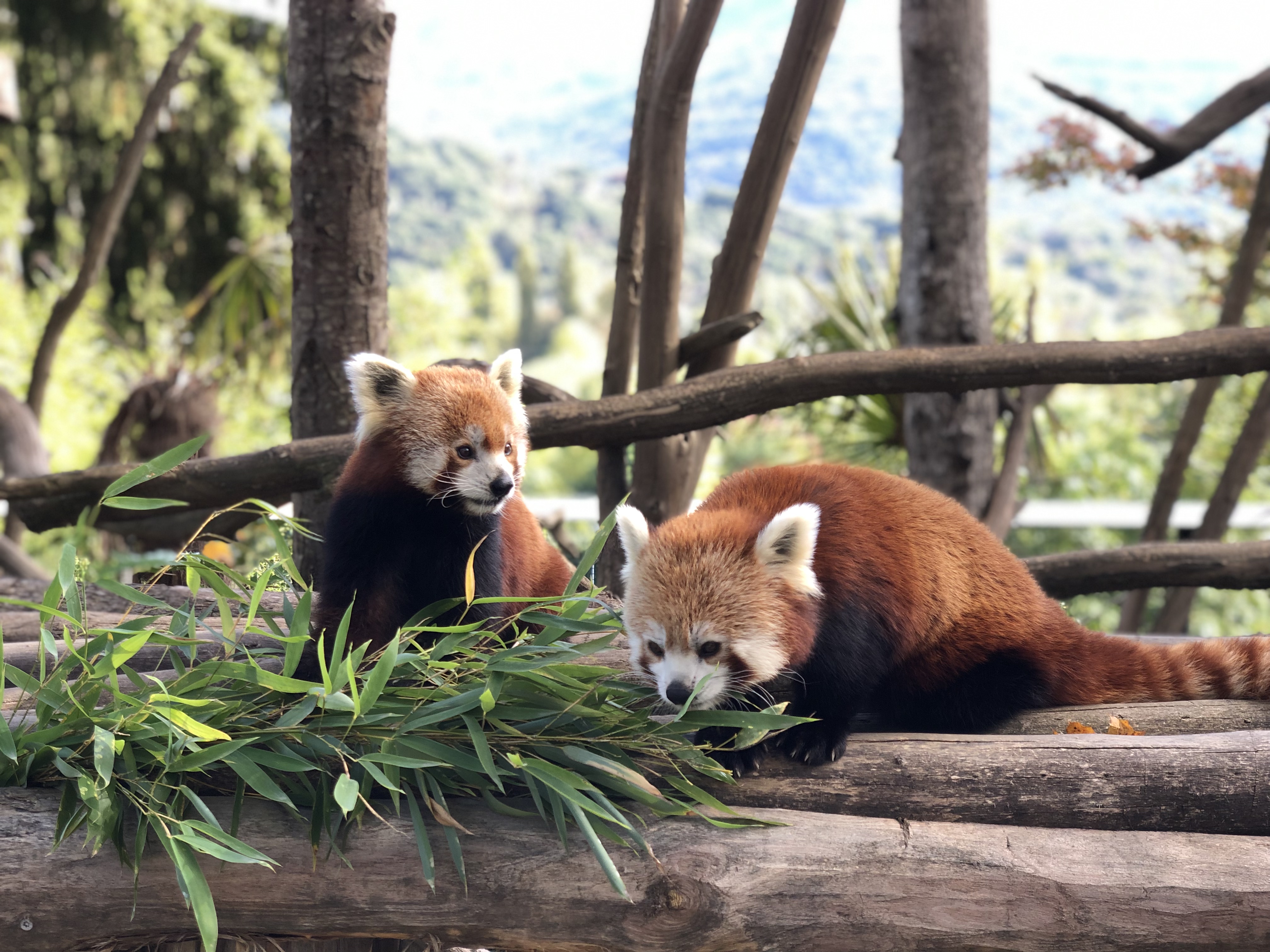 Photo n° 1 de l'avis de Olivier.a fait le 07/11/2018 à 06:49